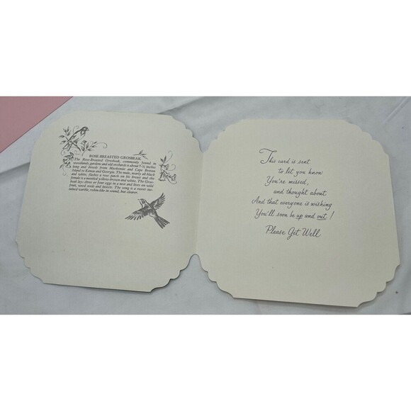 5 VINTAGE QUALITY CREST BEAUTIFUL BIRDS SCENES GREETING CARDS UNUSED ENVLEOPES - Picture 5 of 13